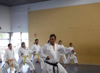 Στην Πολωνία για να διδάξει καράτε ο Βασίλης Μπεσσής