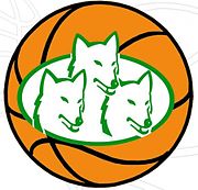 A.O._Kalamata_1980_Basketball_Logo