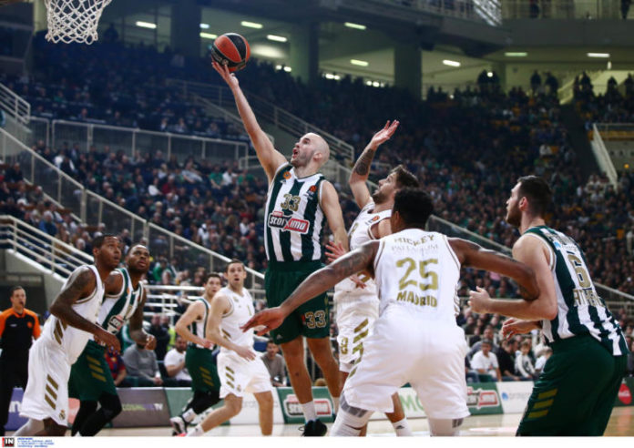 calathes-768x543