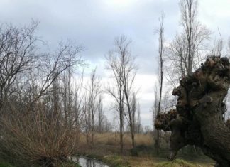 Ευκλής Καλαμάτας: Μας προσκαλεί να διασκεδάσουμε σε αποκριάτικη γιορτή