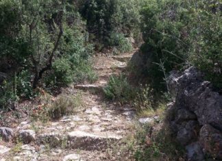 Ευκλής Καλαμάτας: Εξόρμηση στο Όρος Καλάθι