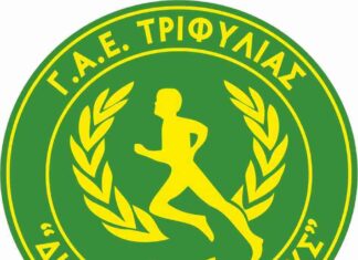 Δίωνας Κυπαρισσίας, : Η σύνθεση του νέου ΔΣ, παρέμεινε “οδηγός” η Δήμητρα Μιχαλοπούλου