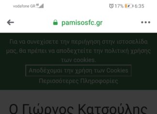 Στο τεχνικό επιτελείο του Παμίσου ο Γιώργος Κατσούλης