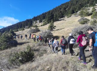 Ευκλής Καλαμάτας: Πεζοπορική εξόρμηση στο μαγευτικό Μαίναλο (Βίντεο)