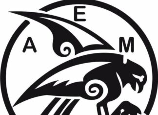 ΑΕ Μάνης “Συγκροτήθηκε σε σώμα το νέο ΔΣ”